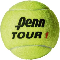 Penn Tour Extra Duty Tennis Balls - 24 Can Case -Ball Games Shop 51ClCiDY15L. AC