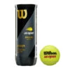 Wilson US Open Extra Duty Tennis Balls 2 Wilson US Open Extra Duty Tennis Balls -Ball Games Shop US Open Official Extra Duty 3ball Can Front LOGO 5135b62b bfd1 4074 9182 f51b33156923