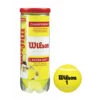 Wilson Championship Extra Duty Tennis Balls