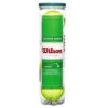 Wilson Starter Play Green Dot Junior Tennis Balls (4 Ball Can) -Ball Games Shop WRT137400 0 Starter Green 4Ball Can.png.cq5dam.web .1200.1200